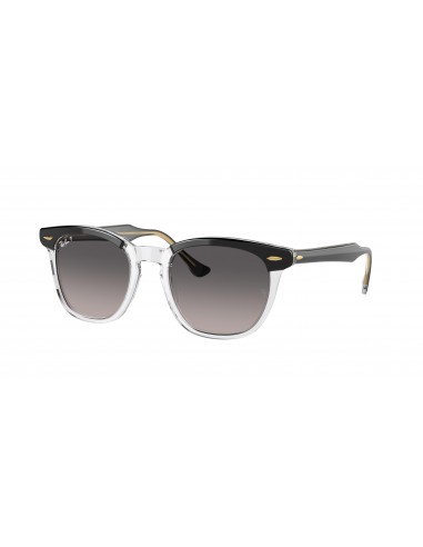 Ray-Ban Hawkeye 2298F Sunglasses du meilleur 