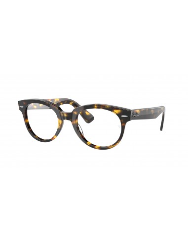 Ray-Ban 2199V Eyeglasses Pour