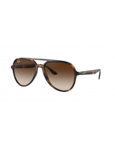 Ray-Ban 4376F Sunglasses 2 - 3 jours ouvrés.