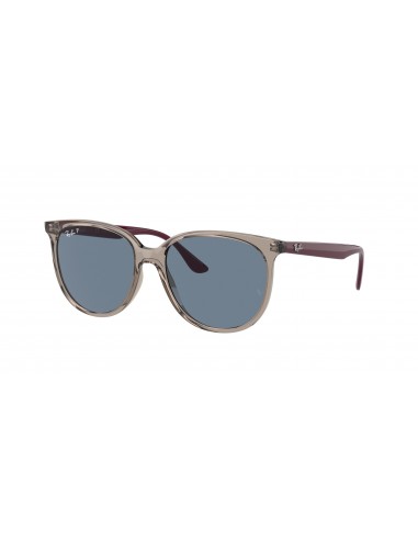 Ray-Ban 4378 Sunglasses acheter en ligne