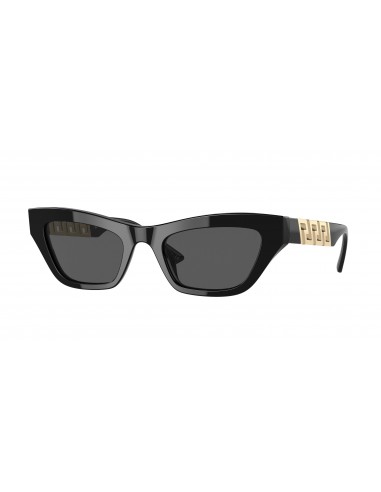 Versace 4419 Sunglasses les muscles