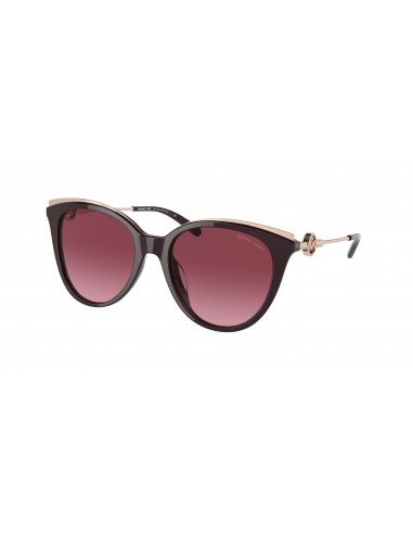 Michael Kors Montauk 2162U Sunglasses Le MVP de beaucoup