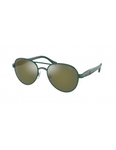 Polo 3141 Sunglasses commande en ligne