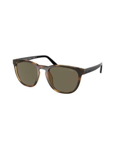 Polo 4182U Sunglasses JUSQU'A -70%! 