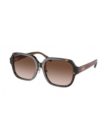 Coach C7990 8335F Sunglasses 50% de réduction en Octobre 2024