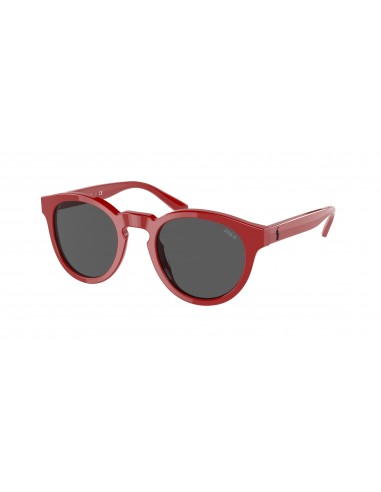 Polo 4184 Sunglasses ou a consommer sur place