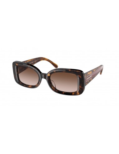 Coach C7988 8336U Sunglasses 50% de réduction en Octobre 2024