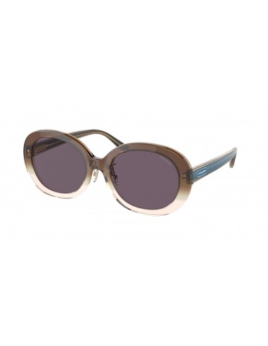 Coach C7991 8337F Sunglasses ou a consommer sur place