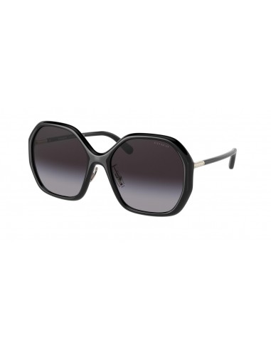 Coach C9204 8343 Sunglasses la chaussure