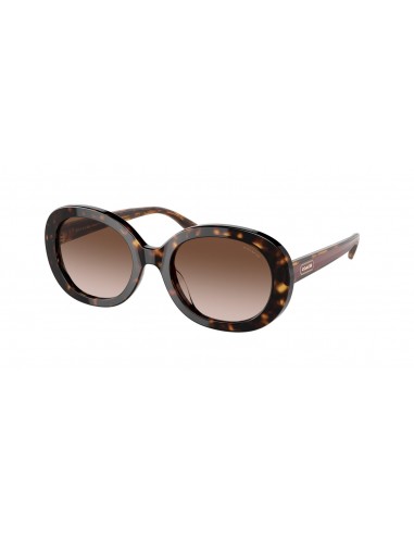 Coach C7992 8337U Sunglasses store