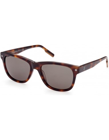 ZEGNA 0196 Sunglasses Toutes les collections ici