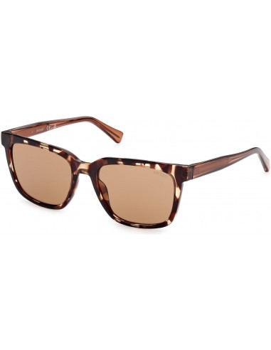 Guess 00050 Sunglasses Comparez plus de prix