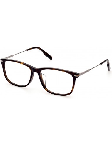 ZEGNA 5233D Eyeglasses hantent personnes